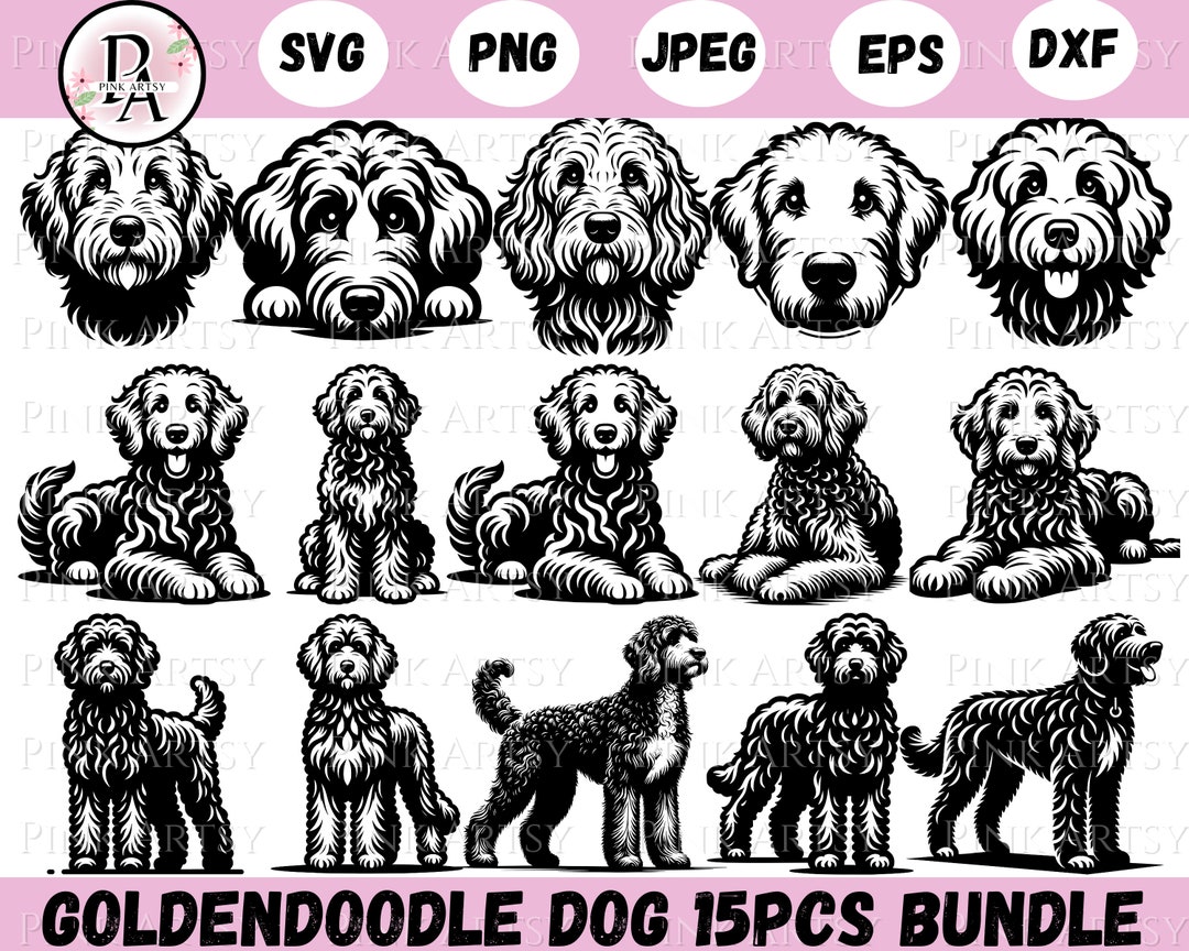 Goldendoodle Svg Png Jpeg Dxf Eps Goldendoodle Clipart Goldendoodle Pet ...