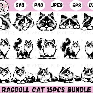 ragdoll cat svg png jpeg dxf eps ragdoll cat clipart cat bundle svg instant download for commercial use custom cut file ragdoll cat svg png