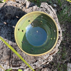 May include: A handmade ceramic bowl with a green interior and a gold rim. The bowl has several small holes around the sides. The bowl is sitting on a weathered tree stump.