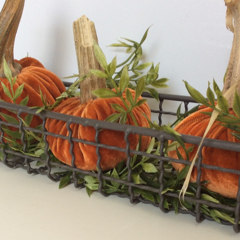 Plush Velvet Pumpkins in a Wire Basket Pumpkin Centerpiece | Etsy