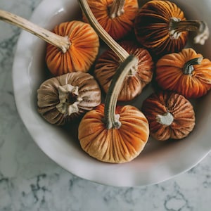 Plush Velvet Pumpkins in a Plate, Pumpkin Pie, Velvet Pumpkins, Decorative Pumpkins, Real Pumpkin Stems on the Pumpkin, Centerpiece
