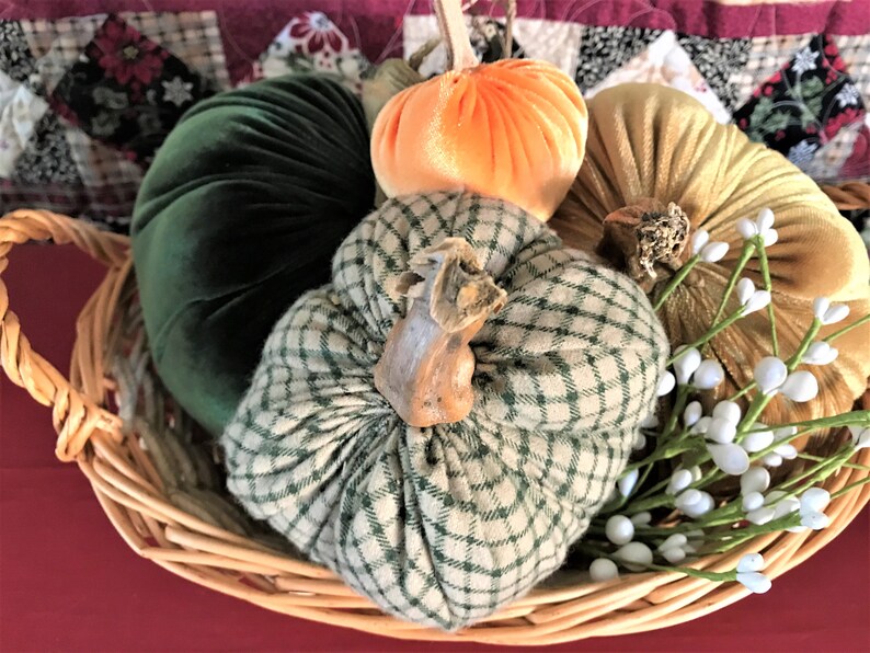 Fall Pumpkin Table Decor Velvet Pumpkins Real Pumpkin