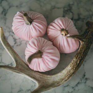 Soft Velvet Pumpkins, Autumn Velvet Pumpkins, Pink Velvet Pumpkins, Magenta Velvet Pumpkins, Velvet pumpkin, Velvet Pumpkins,