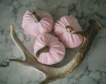 Soft Velvet Pumpkins: Autumn Decor with Real Stems (Set of 3)