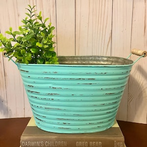 Puede incluir: Una jardinera de metal turquesa con asas de madera, que contiene una planta verde. La jardinera tiene un diseño acanalado y un acabado envejecido. Descansa sobre dos libros, "Darwin's Children" y "The American Poets".