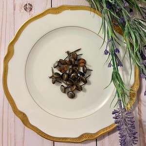 May include: A white plate with a gold rim and a decorative pattern. A pile of about 20 small, silver-colored tacks are in the center of the plate.