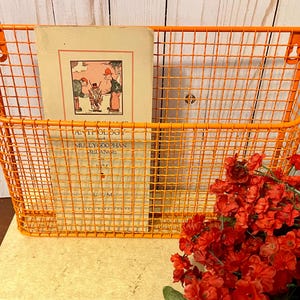 K&ouml;nnte beinhalten: Orangefarbener Wandhalter aus Metalldraht mit einem Buch mit dem Titel "Anthology of Mollycoddle Melange" im Inneren. Der Halter ist an einer wei&szlig;en Holzwand montiert, im Vordergrund befinden sich rote Blumen.