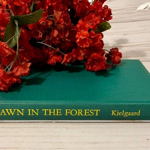 Fawn in the Forest Book and Other Wildlife Stories ~ by Jim Kjelgaard ~ Vintage Book ~ Hardcover Book ~ 1962 ~ Animal Stories ~ 168 pages