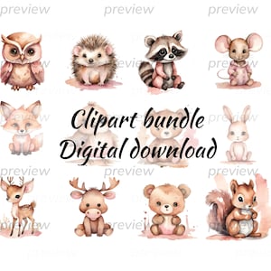 Aquarell Waldtiere Clipart Pink-Eule,Fuchs,Reh,Igel,Vogel, Elch, Waschbär, Bär, Maus, Kaninchen, Eichhörnchen- Kinderzimmer Clipart-Digital