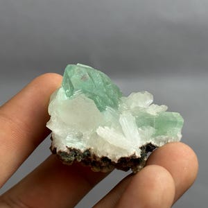 Könnte beinhalten: Ein rohes Mineralexemplar mit durchscheinenden, blassgrünen Kristallstrukturen, die mit undurchsichtigen weißen Formationen gruppiert sind und auf einer dunklen, strukturierten Felsbasis mit sichtbaren erdigen Mineralablagerungen sitzen.