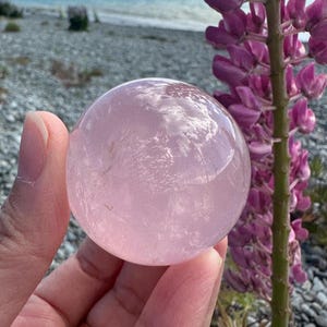 Könnte beinhalten: Eine große, durchscheinende rosa Rosenquarzkugel. Die Kugel ist glatt und poliert, mit einem leicht trüben Aussehen. Die Kugel wird in einer Hand gehalten, mit einem verschwommenen Hintergrund aus grünem Gras und lila Blumen.