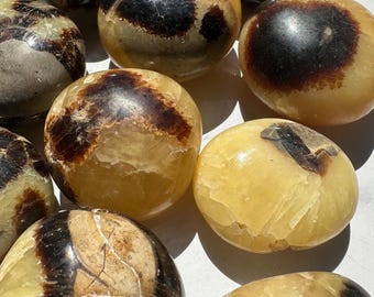 Piedra de palma septaria de 4-5 cm (piedra dragón): piedra natural pulida para la preocupación, la conexión a tierra, la protección, las raíces y como regalo de cristal para Navidad.