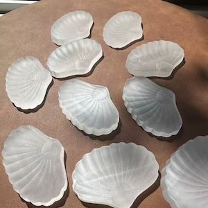 May include: A collection of frosted glass seashell-shaped dishes. Each dish has a detailed fan-like pattern radiating from a central point. The dishes are arranged on a brown surface, catching the light and creating subtle shadows.