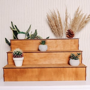 Pode incluir: Uma estante de madeira de tr&ecirc;s n&iacute;veis com acabamento em madeira natural. A estante &eacute; decorada com plantas em vasos, incluindo um cacto, uma suculenta e uma planta cobra. A estante est&aacute; sentada em uma superf&iacute;cie branca.