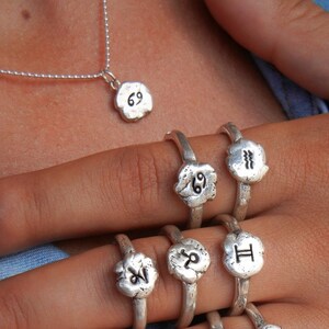 Astrology Jewelry, Zodiac Sign Necklace, Zodiac Jewelry, Horoscope Jewelry, Sterling Silver Astrological Sign Jewelry, Leo, Scorpio, Gemini