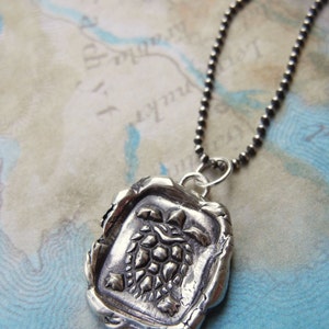 May include: A silver necklace with a silver pendant shaped like a turtle. The pendant has a textured surface and is detailed with a turtle shell design.