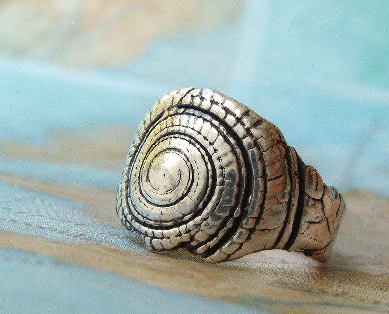 Silver Shell Ring, Nautical Jewelry, Seashell Ring, Shell Jewelry, Beach Jewely, Beach Shell Ring Size 4 5 6 7 8 9 10 11 12 13 14 for Women image 5