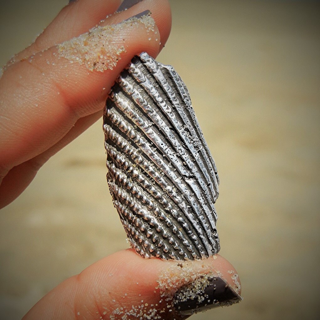 Shell Ring Broken Shell Silver Ring Sterling Silver Beach Etsy