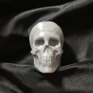 Enkel Mini 3D-utskrift Liten Dödskalle Mörk Academia Spöklik Fånig För Halloween Rekvisita Dekoration Gåva 3D-utskrifter 3D-utskrift STL Digital Fil