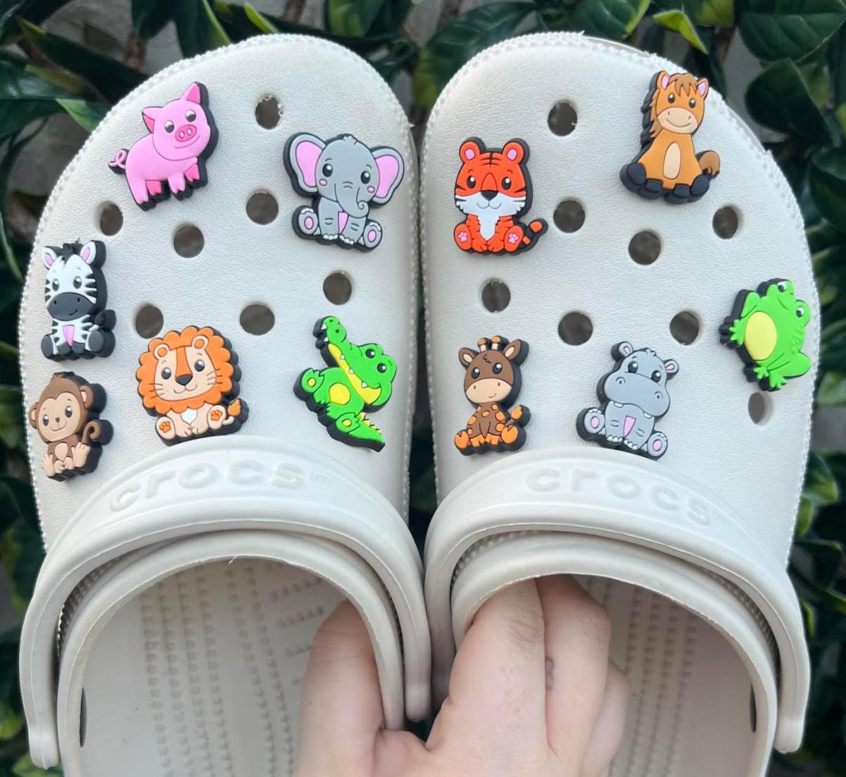 Monkey jibbitz best sale