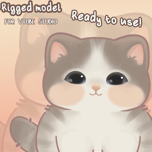 Vtuber - cute cat, ready to use!
