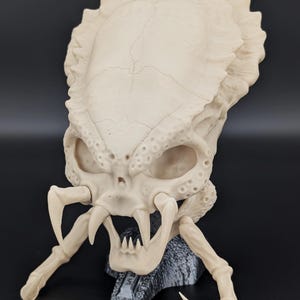 May include: A cream-colored, unpainted resin sculpture of a creature skull featuring a large, ridged cranium, deep eye sockets, and prominent, sharp, downward-curving fangs. The skull is mounted on a small, dark, textured base stand.