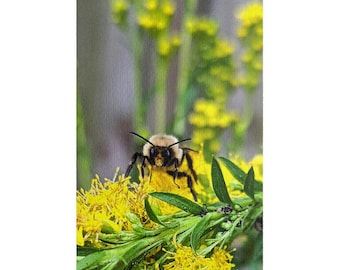 Fuzzy Bee on Vibrant Yellow Goldenrod Flower Puzzle (1014-piece)