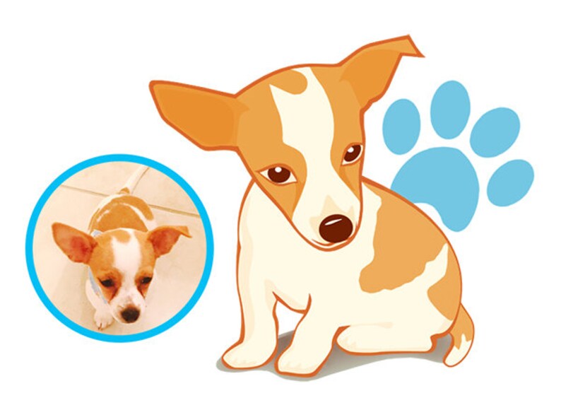 Custom Portrait, Animal illustration Logo with high resolution image 7