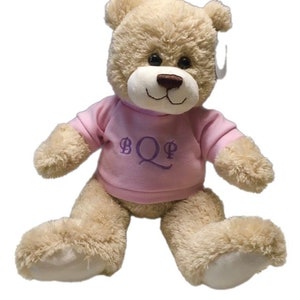 Personalized Teddy Bear sold seperatly,not as a pair image 4