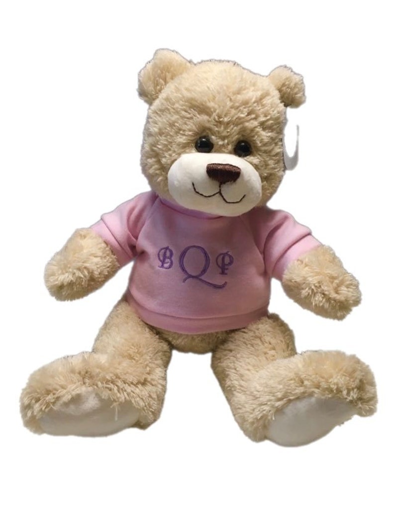 Personalized Teddy Bear sold seperatly,not as a pair image 4