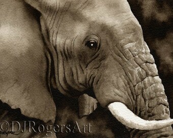 Polar Bear Art Print Sepia Watercolor Wildlife Painting 11 x 14 by Artist DJR