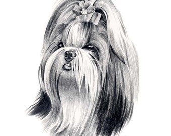  Dog pencil drawing Etsy