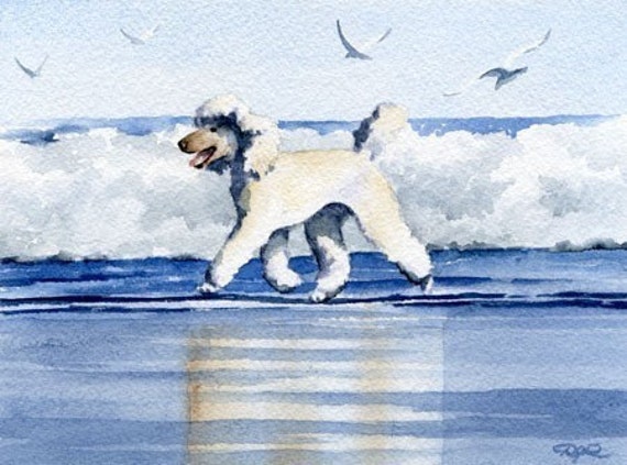 Black POODLE AT THE BEACH Dog Watercolor 11 x 14 Art Print by Artist DJR