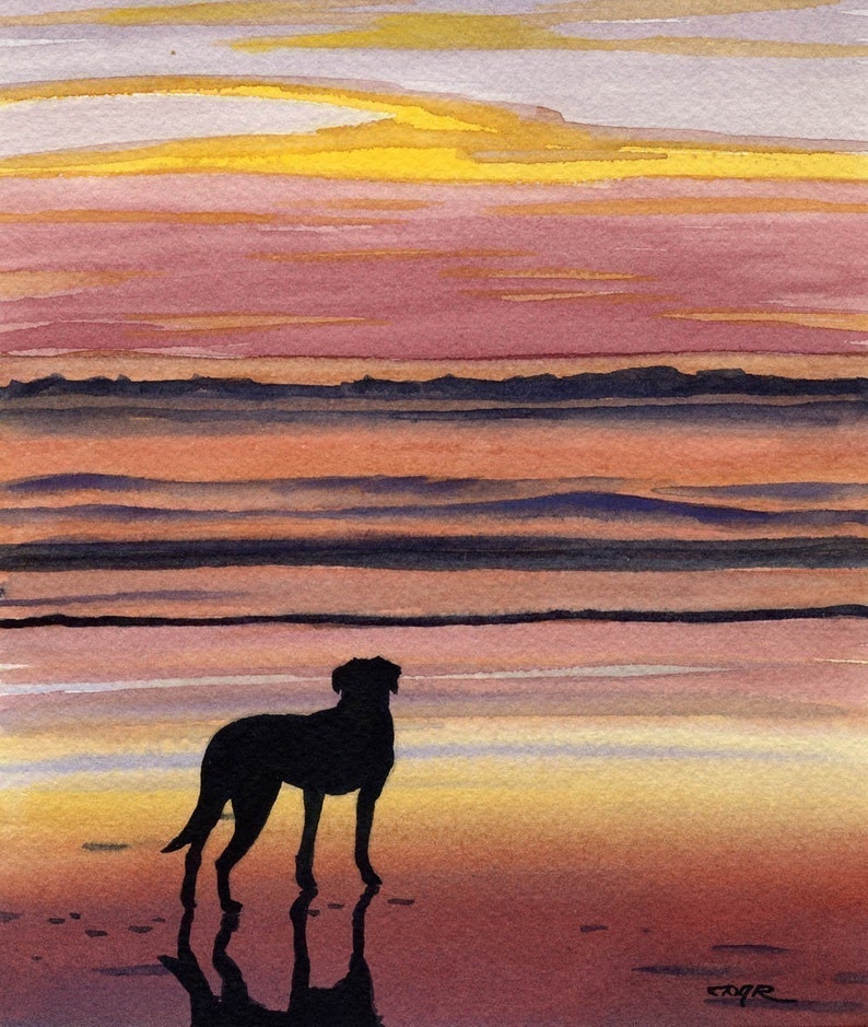 BLACK LAB Art Print by Watercolor Artist DJ Rogers image 1