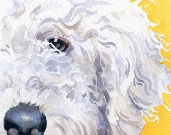 LABRADOODLE Art Print by Watercolor Artist DJ Rogers