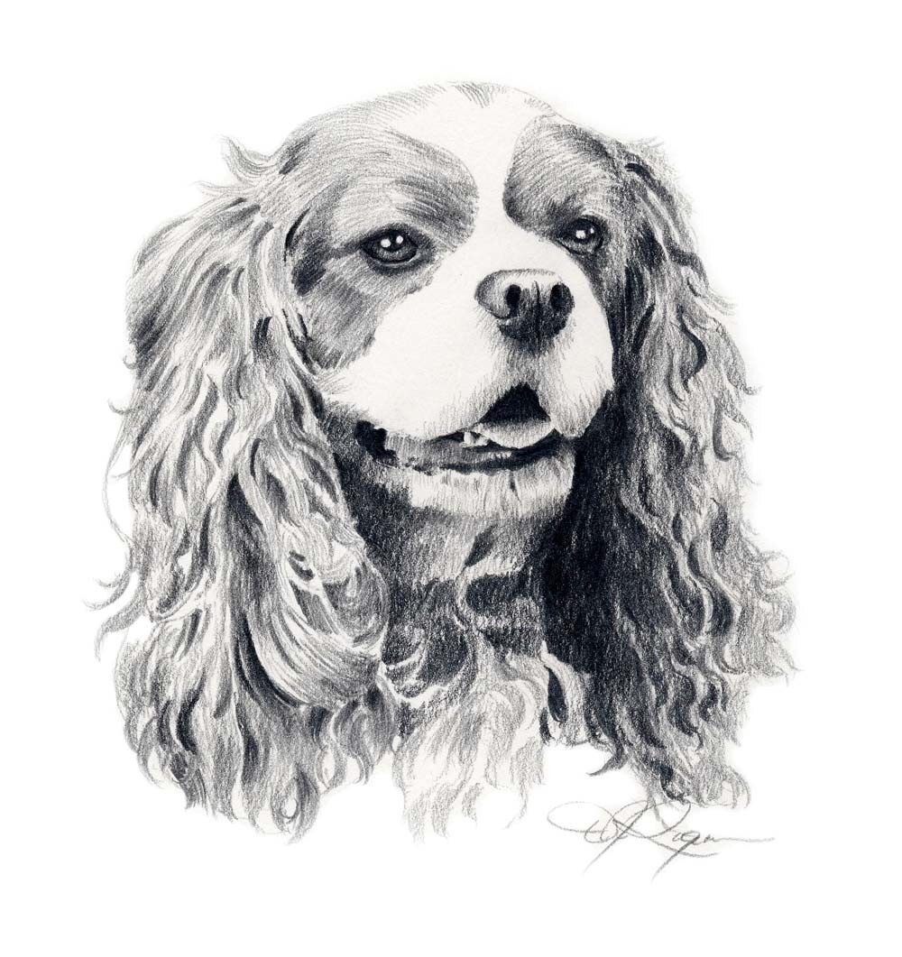 COCKER SPANIEL Painting Dog ART 11 X 14 by Artist DJR 