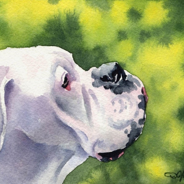 WHITE BOXER Art Print by Watercolor Artist DJ Rogers