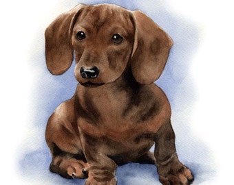 DACHSHUND PUPPY Art Print by Artist DJ Rogers