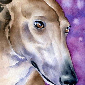 GREYHOUND Art Print Watercolor by Artist DJ Rogers