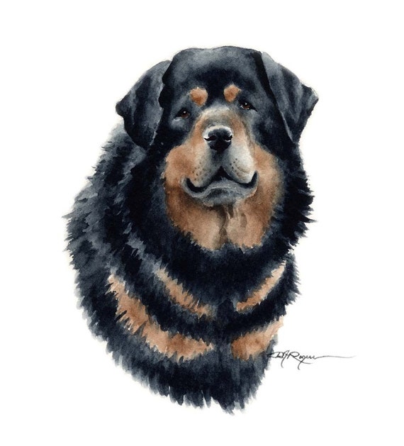 tibetan mastiff art