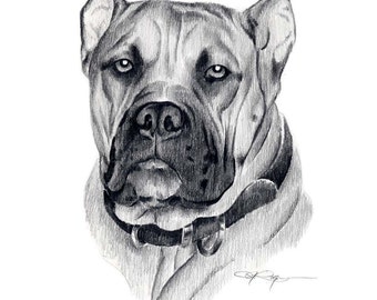 ELANO Dog Art Print Pencil Drawing by Artist DJ Rogers