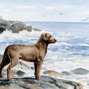 CHESAPEAKE BAY RETRIEVER Art Print Watercolor by Artist D J Rogers