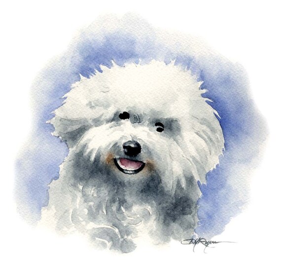 BOLOGNESE Art Print Signed by Artist DJ Rogers