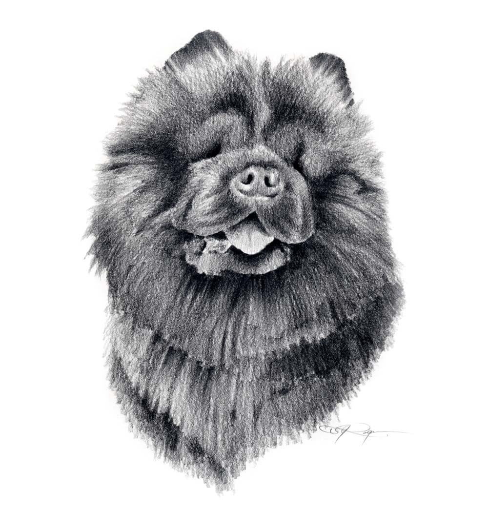 CHOW CHOW Dog Art Print Pencil Drawing by Artist DJ Rogers Etsy