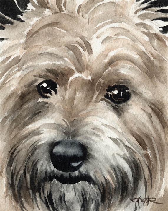 CAIRN TERRIER Abstract Watercolor Painting 11 x 14 Art Print by Artist DJR