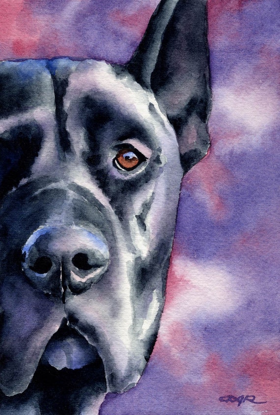 BLACK GREAT DANE Dog Painting ART 11 X 14 by Artist DJR