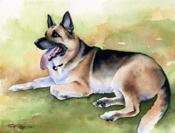 White German Shepherd Art Print Sepia Watercolor 11 x 14 by Artist DJR
