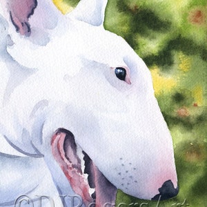 White BULL TERRIER Art Print by Watercolor Artist DJ Rogers