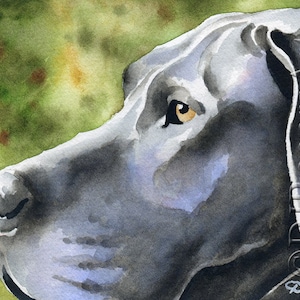 Grey GREAT DANE Art Print by Artist DJ Rogers