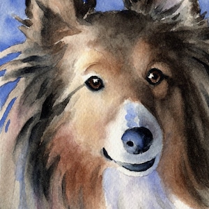 Shetland Sheepdog Art Print by Artist DJ Rogers, Sheltie Art Print